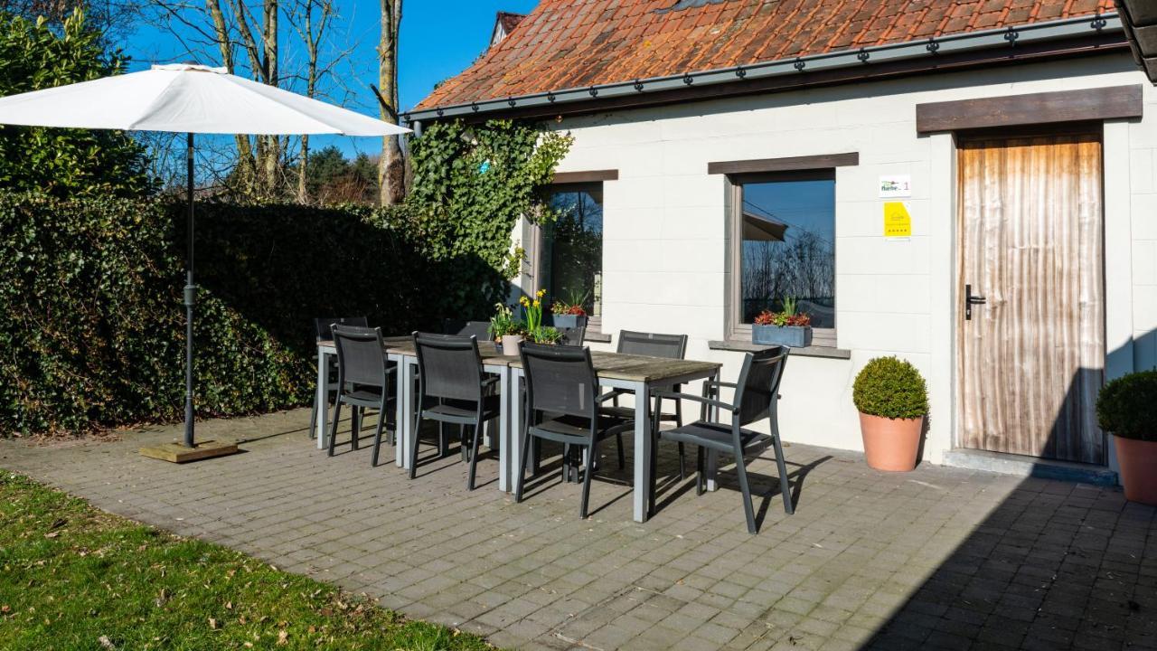 Vakantiehuis De Rieke 16 Personen Ronse Eksteriør billede